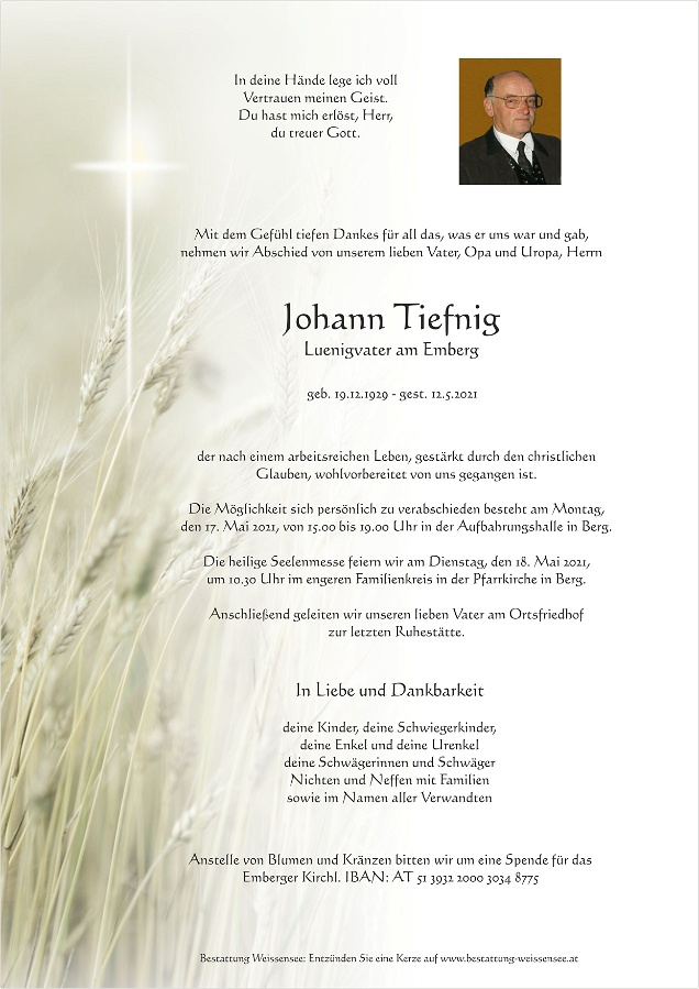 Johann Tiefnig